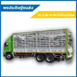 รถหกล้อใหญ่คอกสูงรับจ้างขนของทั่วไทย