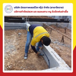 รับวางระบบท่อกำจัดปลวกโคราช