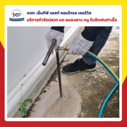 รับกำจัดปลวกพัทยา