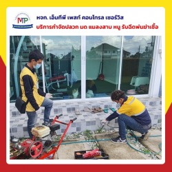 รับกำจัดปลวกราคาถูกชลบุรี