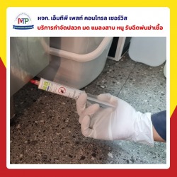 กำจัดแมลงสาบพัทยา