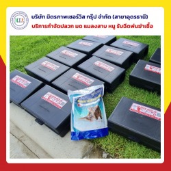 กำจัดหนูอุดรธานี