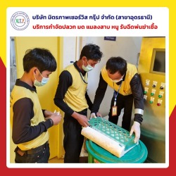 บริษัทกำจัดแมลงอุดรธานี