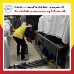 รับกำจัดแมลงสาบอุดร
