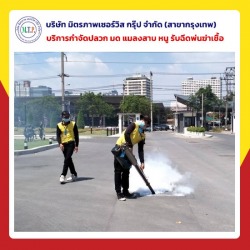 รับฉีดยุงลาย กทม