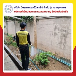 บริษัทกําจัดปลวก กรุงเทพ