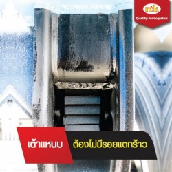 อะไหล่เต้าแหนบหลัง
