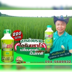 ขายส่งยาช่วยให้รากต้นไม้แข็งแรง นนทบุรี