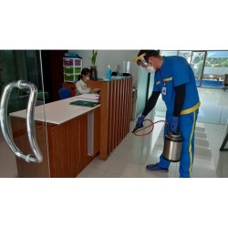 บริษัทกำจัดแมลงสาบเชียงใหม่ 