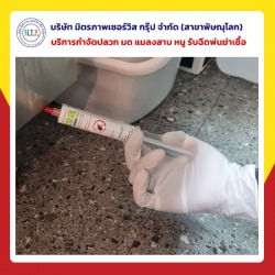 กำจัดแมลงสาบ สัตว์รบกวน