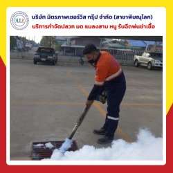 ฉีดยุงพิษณุโลก