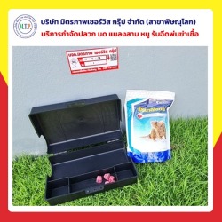 รับกำจัดหนู แมลงสาบ กำจัดมด