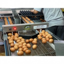 เครื่องคัดไข่ไก่