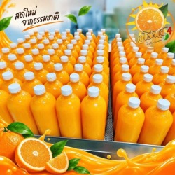 ขายส่งน้ำส้มคั้น รังสิต ปทุมธานี