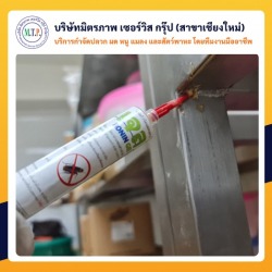 รับกำจัดหนู แมลงสาบ กำจัดมด