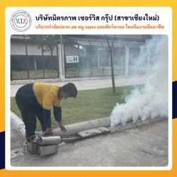 รับฉีดยุง กำจัดยุง เชียงใหม่