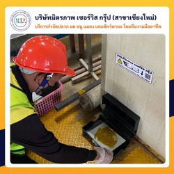 บริษัทกำจัดหนูในเชียงใหม่