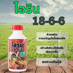ไอริน 18-6-6