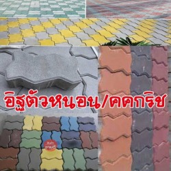 จำหน่ายอิฐตัวหนอน