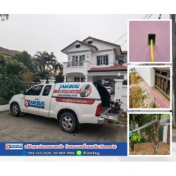 รับฉีดกำจัดปลวก ปทุมธานี