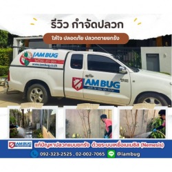 บริษัทกำจัดแมลงสาบรังสิต