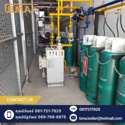 Boiler biomass