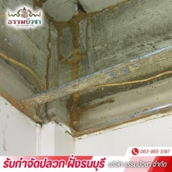 กําจัดปลวกราคาถูก ฝั่งธนบุรี