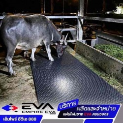 แผ่น EVA รองคอกสัตว์