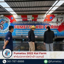 ฟาร์มปลาคาร์ฟ ใกล้ฉัน