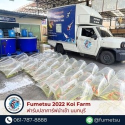 รับขนย้ายปลาคาร์ฟ