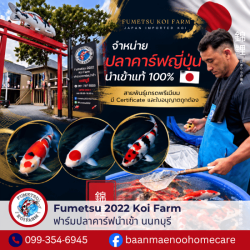 ราคา ปลาคาร์ฟนำเข้า