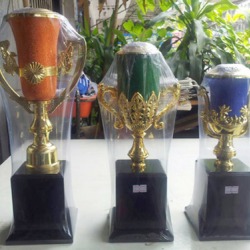 ถ้วยรางวัลพลาสติก