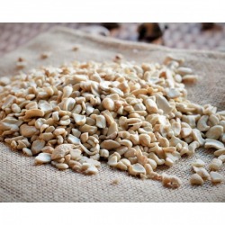 Cashew Nuts