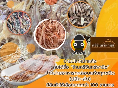 บริษัท บ้านปลาหมึกแห้ง จำกัด - รับทำเว็บไซต์  SEO การตลาดออนไลน์