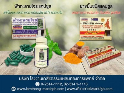 บริษัท-โรงงานเภสัชกรรมแหลมทองการแพทย์-จำกัด - รับทำเว็บไซต์  SEO การตลาดออนไลน์
