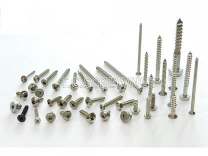สกรูเกลียวปล่อย สแตนเลส (Screw Tapping Stainless) - โรงงานผลิตสกรูน๊อต รับทำน๊อตตามสั่งแบบ สมุทรสาคร - ที ซี สกรูน๊อต