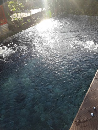 จำหน่ายอุปกรณ์สระว่ายน้ำ พังงา - จำหน่ายอุปกรณ์สระว่ายน้ำ พังงา