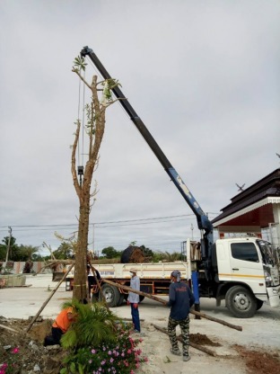 รถเฮี๊ยบรับจ้าง ชลบุรี - ให้เช่ารถเครน รถเฮี๊ยบ รถเทรลเลอร์ ชลบุรี