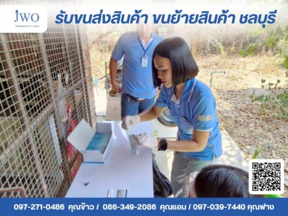 เจดับบลิวโอ ทรานสปอร์ต - บริษัทรับขนส่งสินค้า ขนย้ายสินค้า ชลบุรี - เจดับบลิวโอ ทรานสปอร์ต