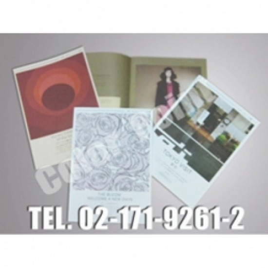 รับพิมพ์แคตตาล็อกสินค้า แคตตาล็อก  รับพิมพ์แคตตาล็อกสินค้า 