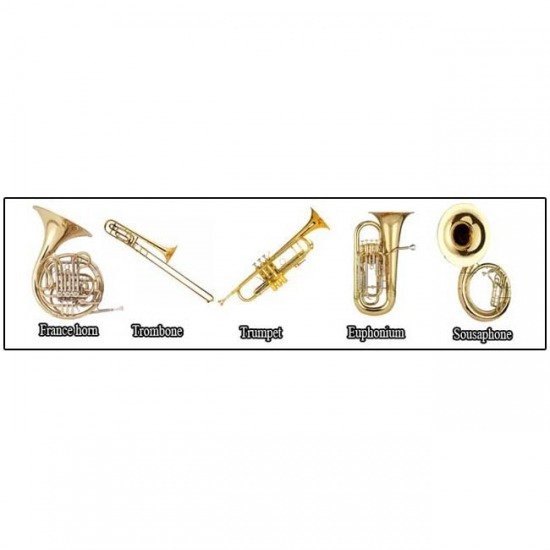 กีต้าร์โปร่ง อคูสติกกีตาร์ - นิวห้างกีฬามิวสิค - กีต้าร์โปร่งไฟฟฟ้า  กีต้าร์โปร่งนครสวรรค์  กีต้าร์โปร่ง  กีต้าร์โปร่ง อคูสติกกีตาร์ 