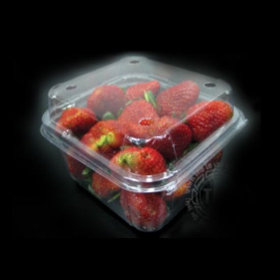 Fruit Packaging บรรจุภัณฑ์พลาสติก 