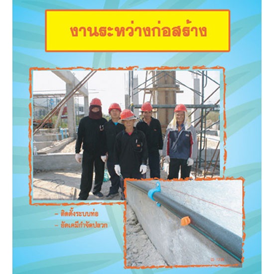 บริการกำจัดปลวก บริการกำจัดปลวก 