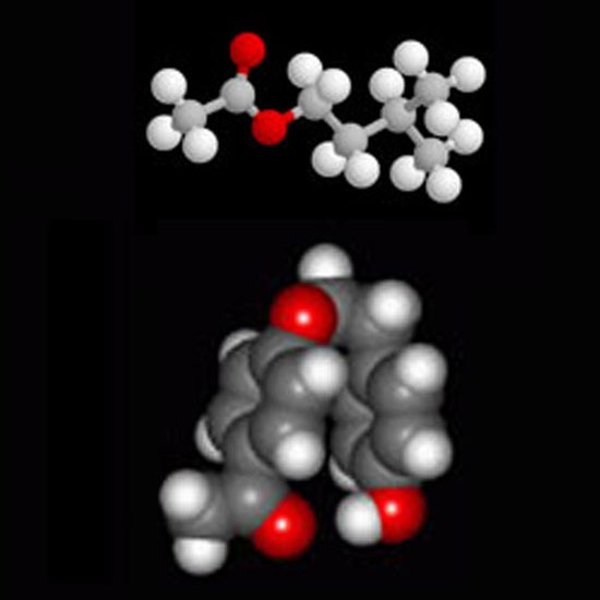 บริษัท ปิโตรเคมีคอล จำกัด (มหาชน) เคมีภัณฑ์   เคมีภัณฑ์สารละลาย   เคมีอุตสาหกรรม   เคมีก่อสร้าง   เคมีสิ่งทอ   เคมีเกษตร   อุตสาหกรรมสี   เคมีอุตสาหกรรมกระดาษ   Alcohols   Aliphalics 