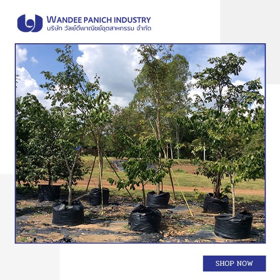 ถุงปลูกขนาดใหญ่ คุณภาพพรีเมียม ลดราคาพิเศษ ถุงปลูกขนาดใหญ่ คุณภาพพรีเมียม ลดราคาพิเศษ 