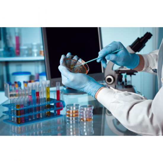 Clean Room Clean Room 