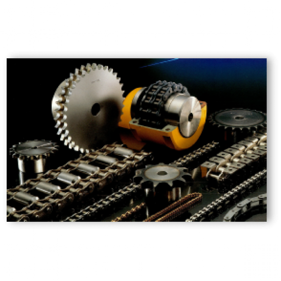 ตลับลูกปืน สมุทรปราการ - เอส ซี แบริ่ง แอนด์ แมชชินเนอรี่ - โซ่ส่งกำลัง สมุทรปราการ ตลับลูกปืน สมุทรปราการ - เอส ซี แบริ่ง แอนด์ แมชชินเนอรี่ - โซ่ส่งกำลัง สมุทรปราการ