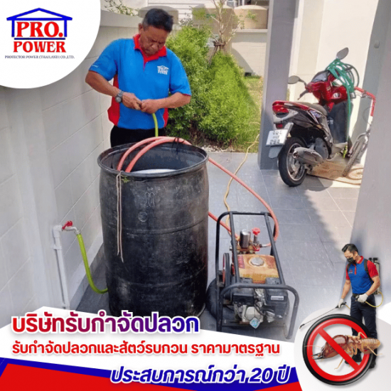 รับกำจัดปลวก กำจัดแมลง พัทยา ชลบุรี - บริษัทกำจัดปลวก กำจัดแมลง พัทยา ชลบุรี  ระยอง