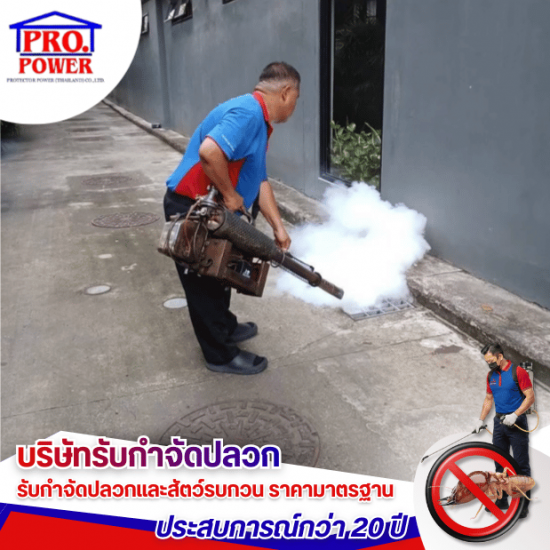 รับพ่นกำจัดยุง กำจัดแมง พัทยา