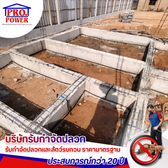 รับเหมาวางท่อปลวก ศรีราชา พัทยา สัตหีบ - บริษัทกำจัดปลวก กำจัดแมลง พัทยา ชลบุรี  ระยอง